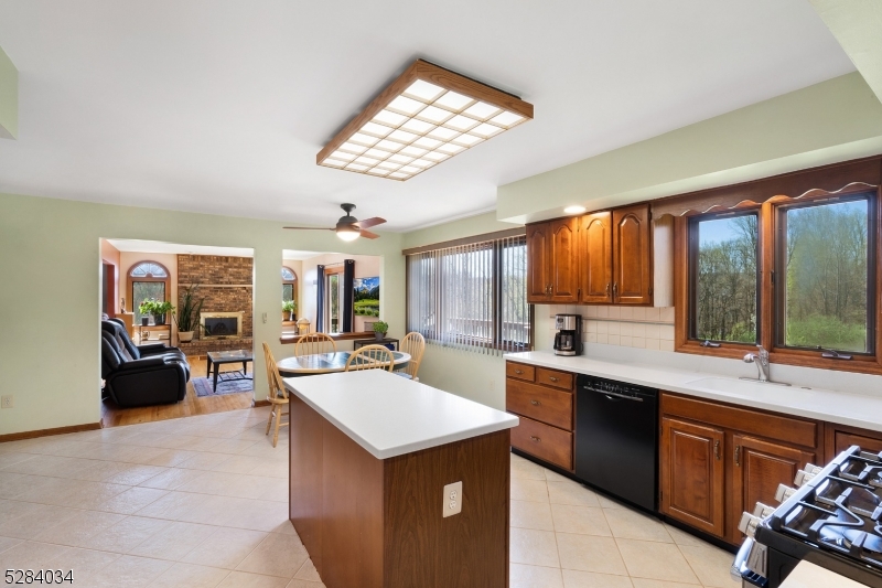 Shongum Lake - Residential