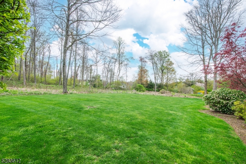 Randolph Chase Development - Residential