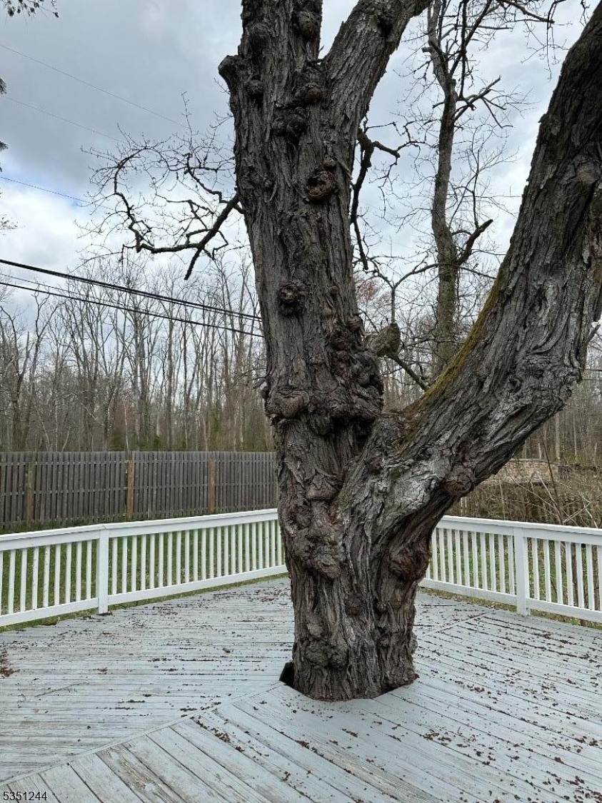 Far Hills - Residential