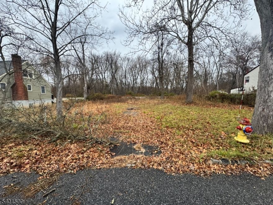 Don't miss this large level lot with public utilities! Great opportunity to build your new home on over 1/3 of an acre!