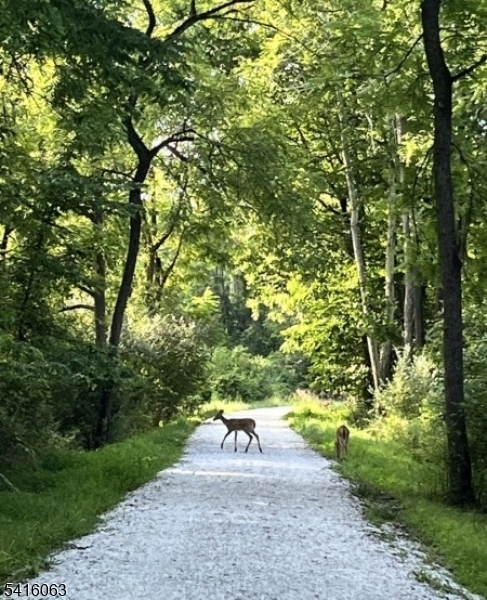 Historic District - Residential