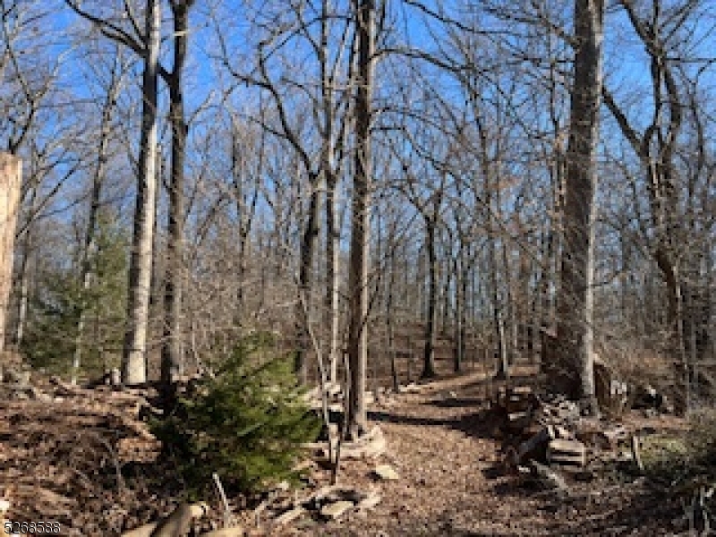 Cedar Lake - Residential