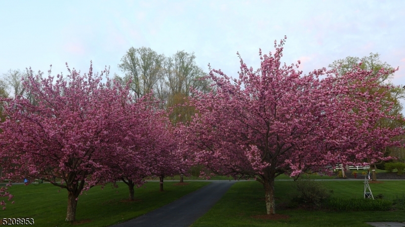 Mountain - Residential