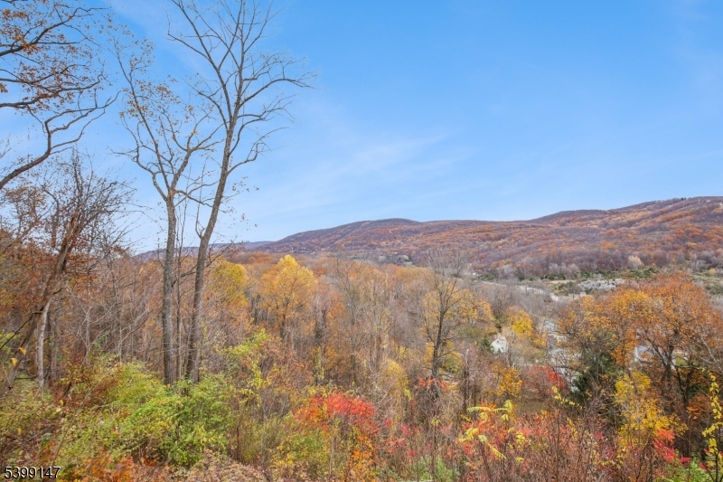 Pleasant Valley Lake - Residential