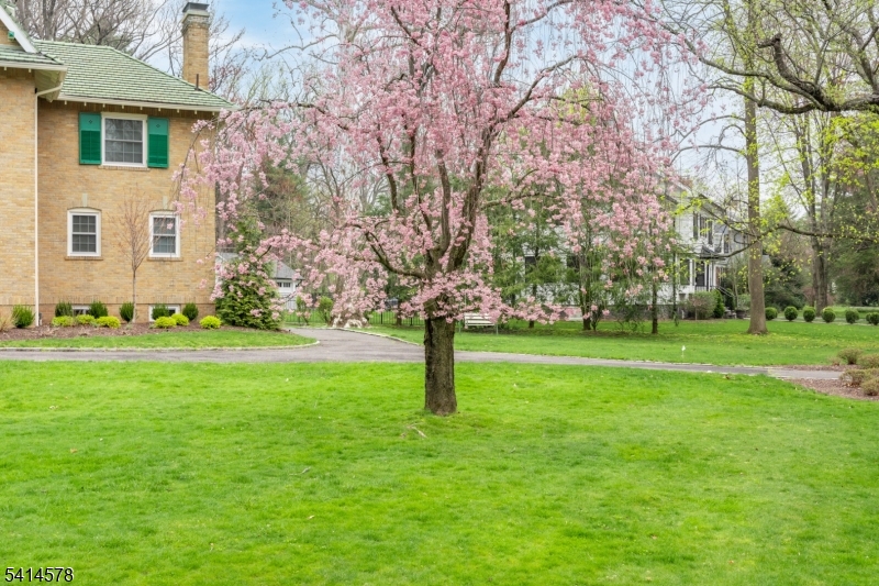 Montrose - Residential