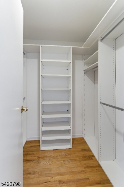 Indian Forest - Residential