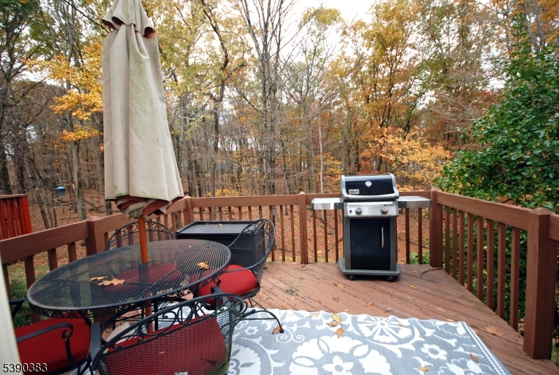 Chambers Brook - Olde Towne - Residential