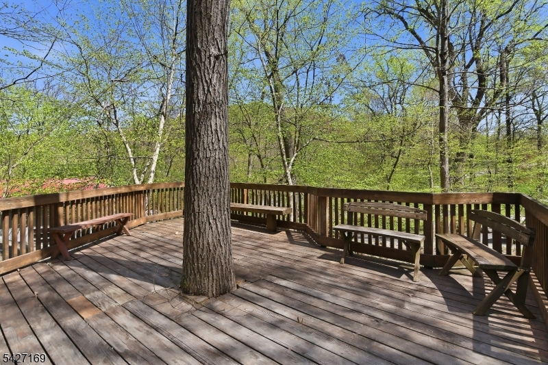 Forest Lakes - Residential