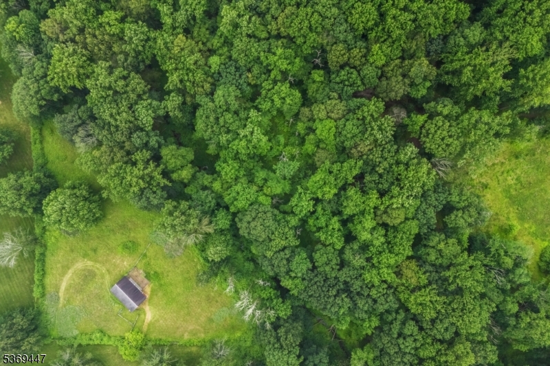 Bernardsville Mountain - Land