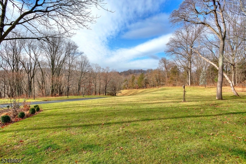 Fox Hill section - Residential