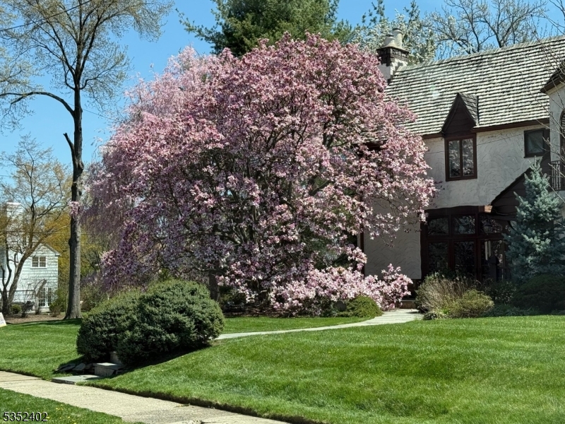 The Gardens - Residential
