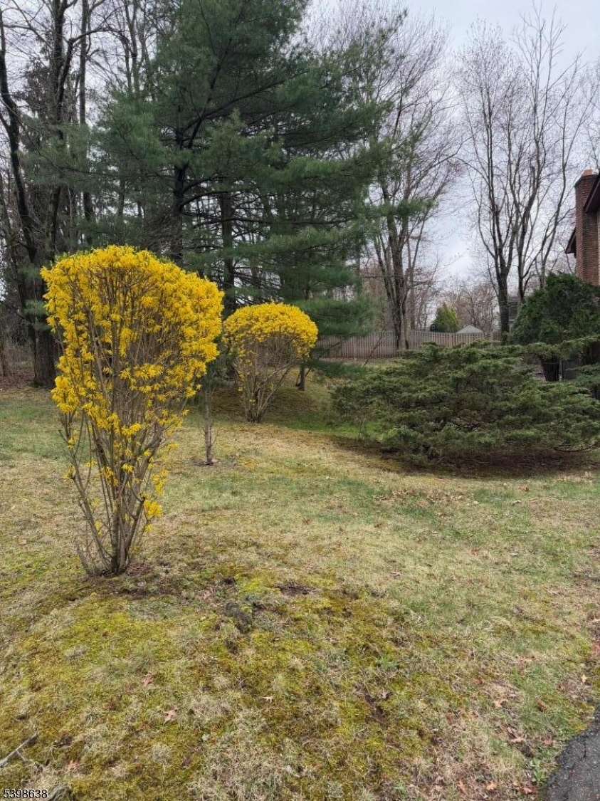 Bee Meadow - Residential