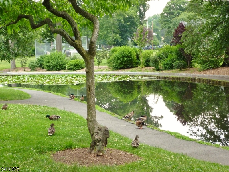 Tuscan - Residential