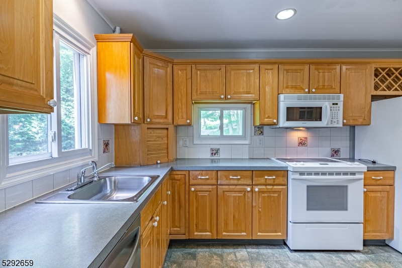 Cedar Lake - Residential