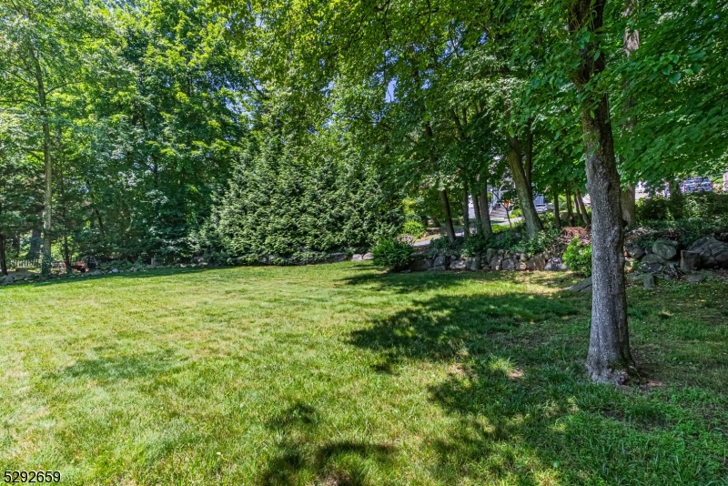 Cedar Lake - Residential