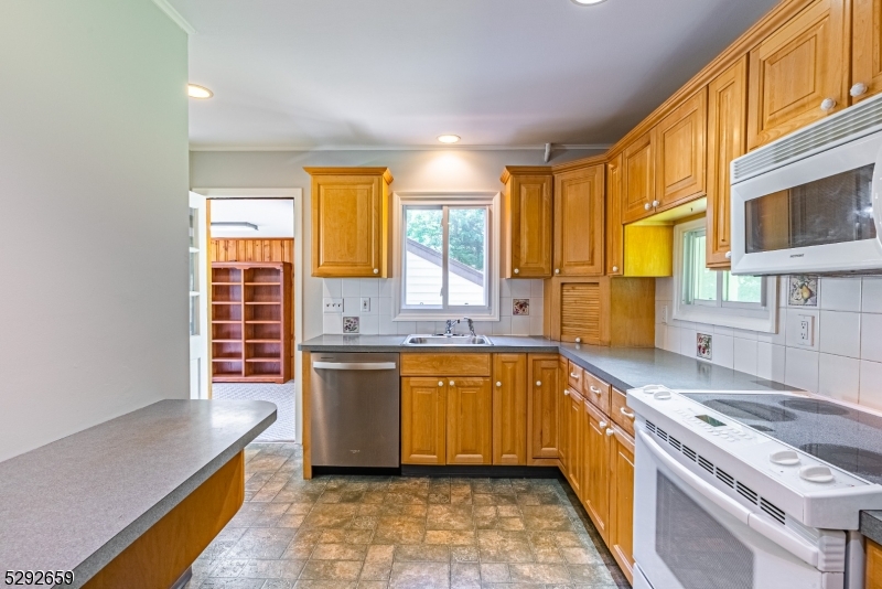 Cedar Lake - Residential