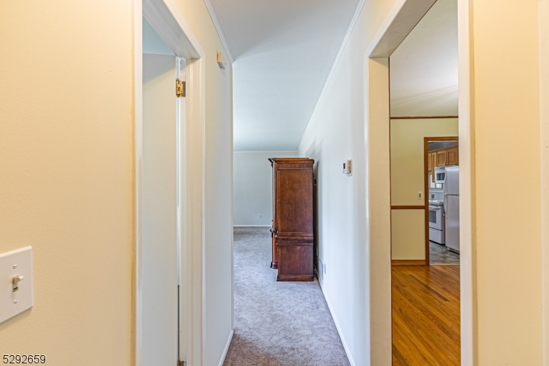 Cedar Lake - Residential