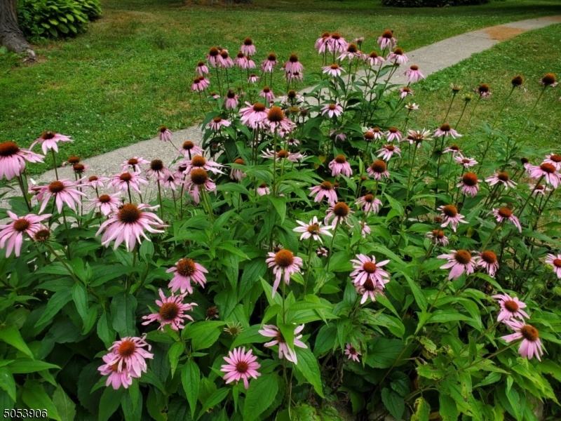 Milton - Residential