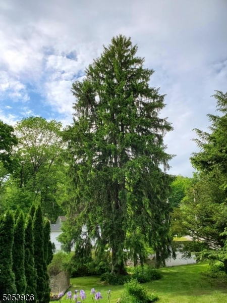 Milton - Residential