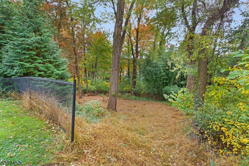 Indian Lake - Residential