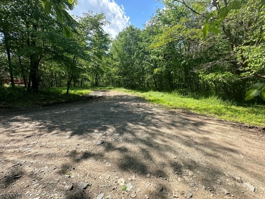 Come build your forever home nestled in the Upper Greenwood Lake community in the Hewitt area of West Milford on a .750 acre of land. Located on a quiet tree lined street, the lot is bordered by State land, on the end of the street, so you can enjoy the peaceful environment and privacy. Surrounded by Single-Family residential homes and a serene creek at the bottom of the hill in the back of the property. Minutes away from Upper Greenwood Lake and Greenwood Lake, a short distance to the Appalachian Trail and a Beach Area. Wawayanda State Park/Recreational area and all of the beauty that the country outdoors has to offer. Upper Greenwood Lake community offers a members only beach and clubhouse with motor boating, kayaking, fishing, jet skiing and swimming. Close to schools, shopping centers, parks, ski resorts, wineries, and major highways. Frontage: 163.37', Back: 162.10', Side: 200'. Lot lines are approximate in photos. Please do not walk the property without an appointment.