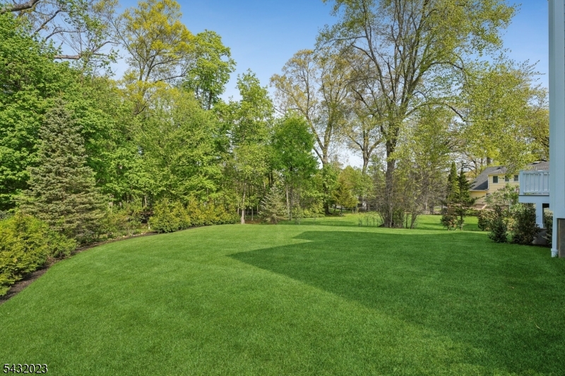 The Hill - Residential