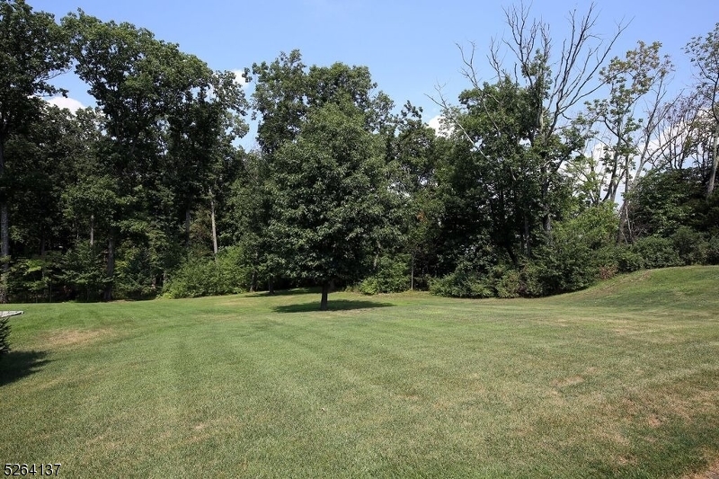 Skyview Heights - Residential