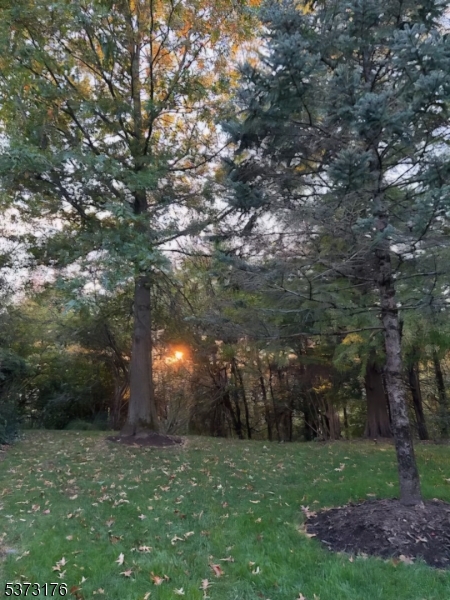 THE HILLS/ FOUR OAKS - Residential