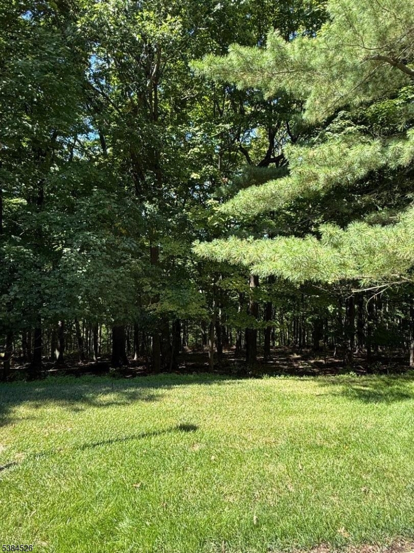 Crestmont Hills - Residential Lease