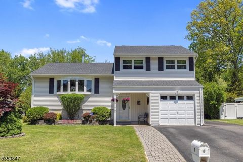 9 Harwich Rd Mount Olive Twp. NJ 07836