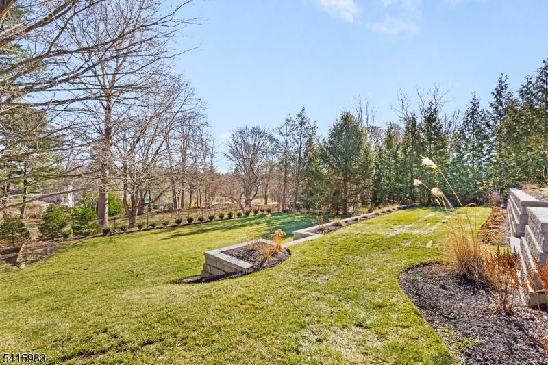 near town - Residential