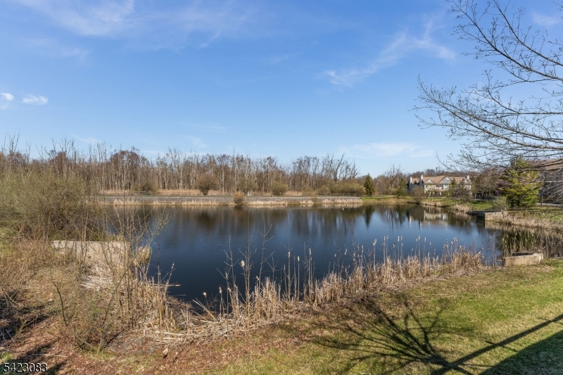 Panther Valley - Residential