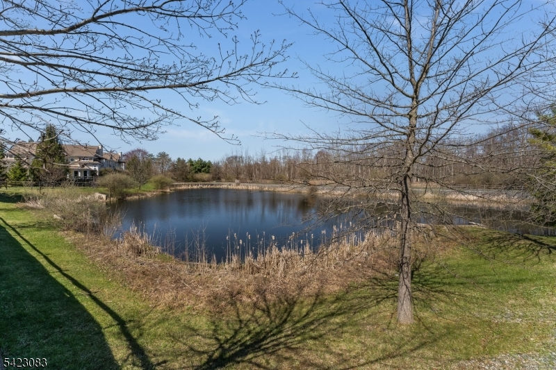 Panther Valley - Residential