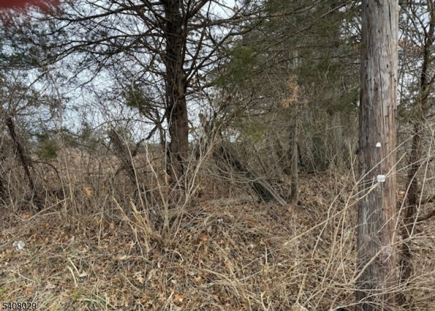 Discover the potential of this level, open 8+ acre property located in desirable Readington Township. Zoned Residential / Agricultural, the parcel offers a wide range of possibilities and permitted uses. The Property is fully wooded along its perimeter on all sides, providing privacy and a natural buffer. A small pond is situated to the back left corner of the lot, adding to the scenic appeal. While primarily residential / agricultural in zoning, the property sits directly across from a light industrial complex, potentially enhancing its versatility (subject to township approvals). The location is exceptionally convenient-just minutes from major thoroughfares and a few miles from I-78 making commuting access easy. An excellent opportunity to build your dream home, create a private retreat or explore other permitted uses in a well-situated Hunterdon County location.