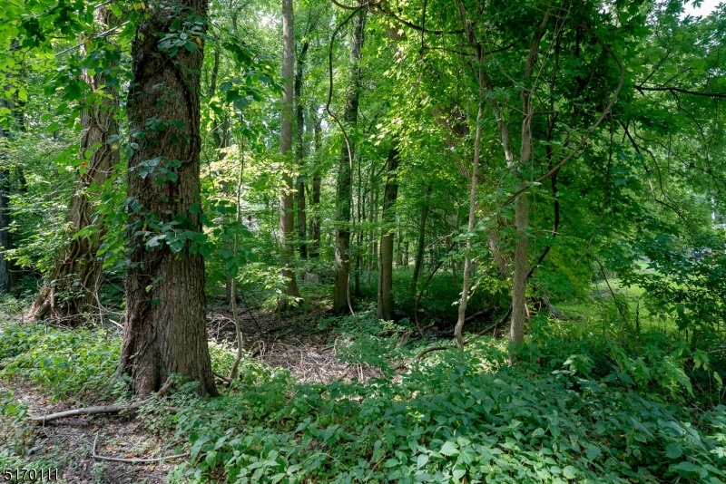 Vacant lot. Calling all investors for this great opportunity. Approximately .229 acres in Wayne NJ. Sign on Property. Top rated schools, minutes to major highways, restaurants, shopping, Whole Foods, Trader Joes, and NJ Transit Bus and Train Center.