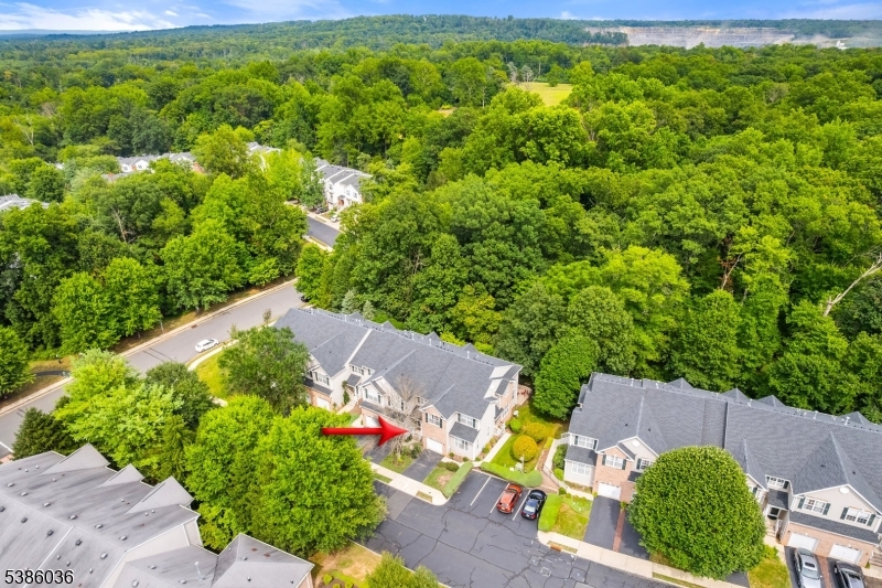 Montgomery Hills - Residential Lease