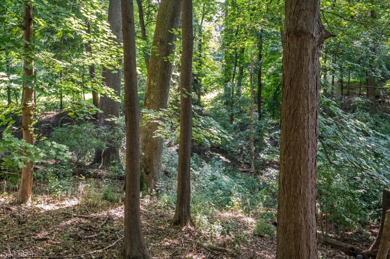 The Hill - Residential