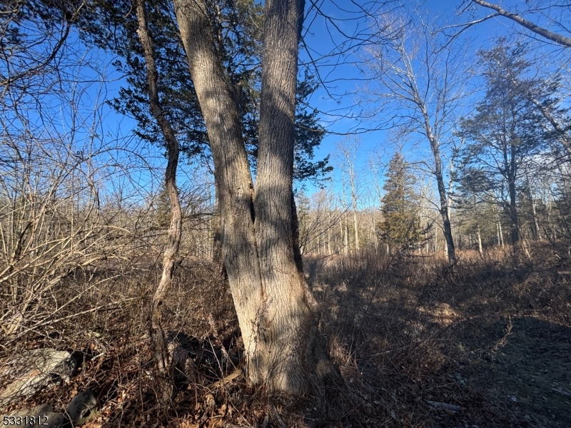 Welcome to Hope! Set on a dead-end road in quaint Hope Township, this 15.02 acre lot in a residential neighborhood awaits its next chapter. Cleared and wooded. Near to schools, restaurants, hiking, fishing and all that country living has to offer. About 10 minutes from route 80....it's a commuters dream. Please check with the zoning officer to confirm any possible uses. Raw land. No documents on file.