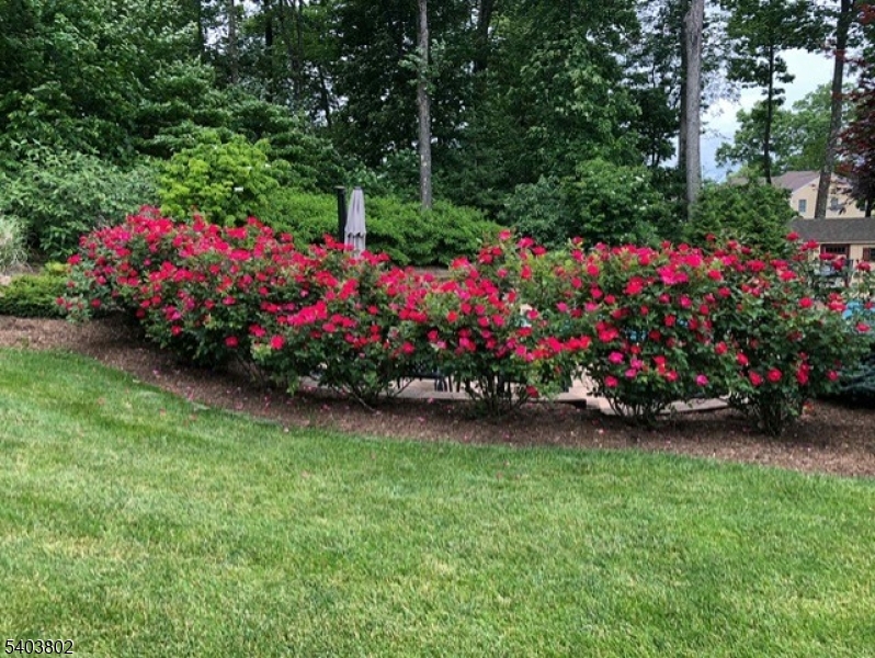 Morris Hunt - Residential