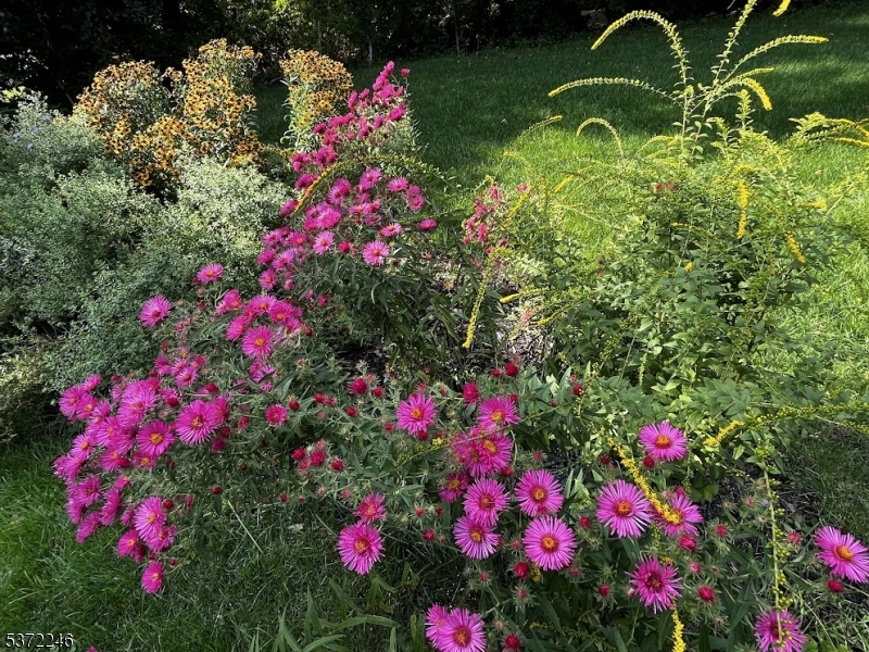 NOT IN A FLOOD ZONE - Residential