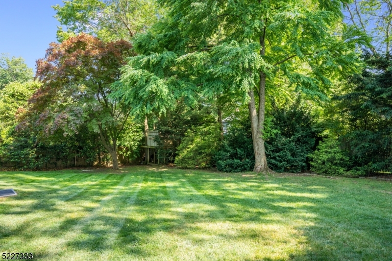 Northside - Residential