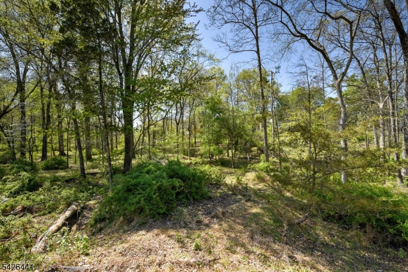 Royal Estates - Residential