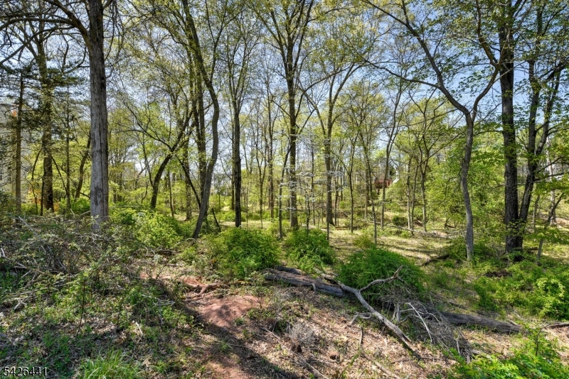 Royal Estates - Residential