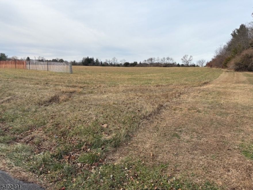 Beautiful level open field bordered by tree rows on two sides. Excellent gentlemen's farm. Great for big beautiful home with plenty of room for horses or other livestock. Generous 1,565' of road frontage.