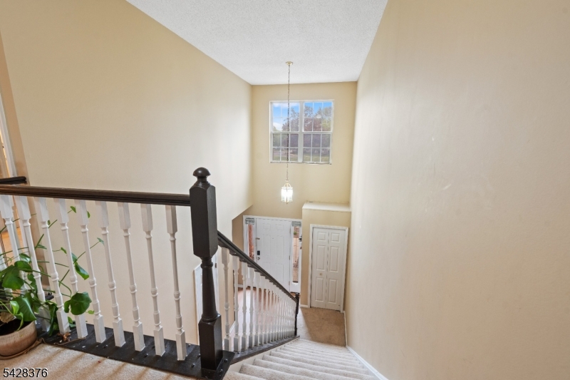 Beacon Hill - Residential
