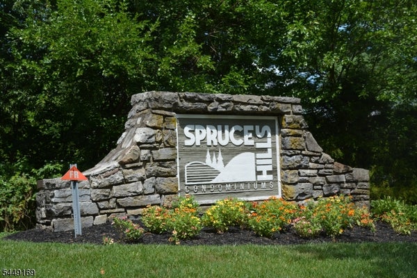 1306 SPRUCE HILLS DR, GLEN GARDNER, NJ 08826 - Image f569d257ca92a2befbd95f8232f1a5b6/4124542585