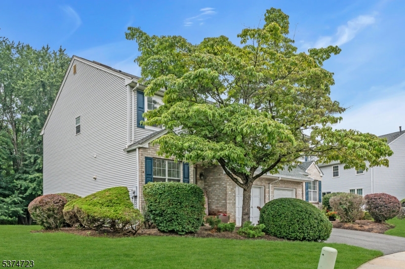 North meadow - Residential