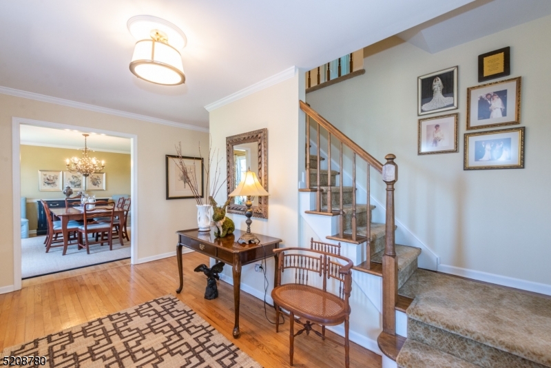 Chestnut Run - Residential