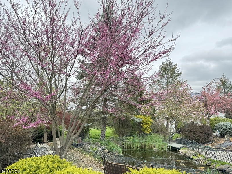 Greenwood Meadows - Residential