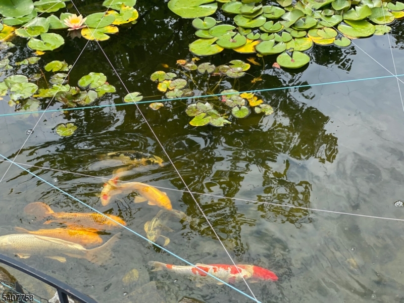 Greenwood Meadows - Residential